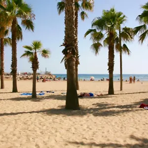 https://apart-lauren-centre-salou-portaventura.catalonia-hotels.com
